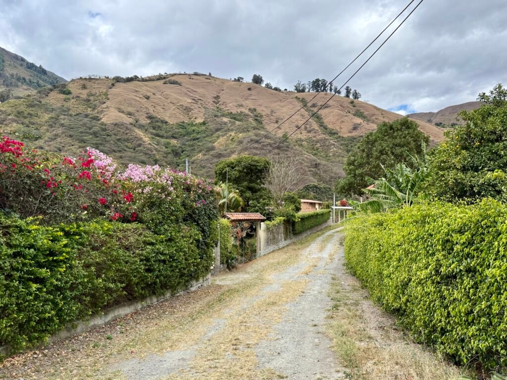 Garden and mountain views from the Landangui property